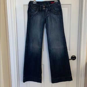 Express X2 wide leg jeans